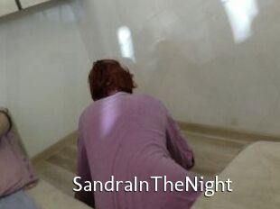 SandraInTheNight