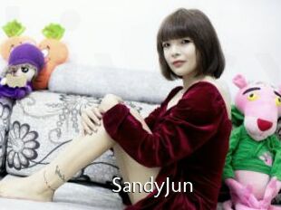 SandyJun