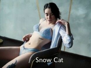 Snow_Cat