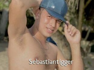 Sebastiantigger