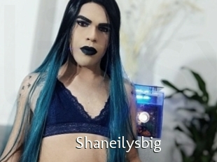 Shaneilysbig