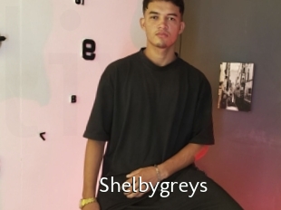 Shelbygreys