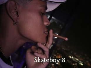 Skateboy18