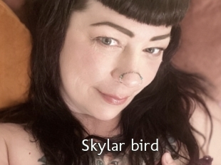 Skylar_bird