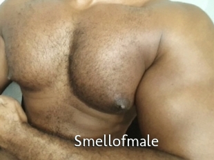 Smellofmale