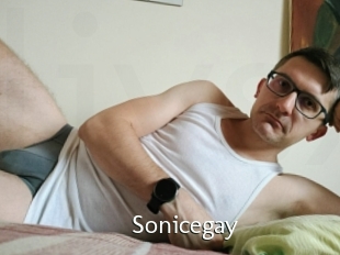 Sonicegay