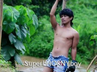 SuperbHORNYboy