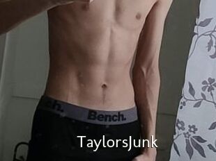 TaylorsJunk