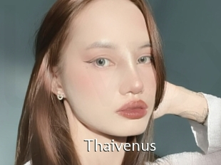 Thaivenus