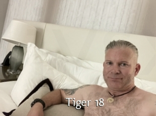 Tiger_18