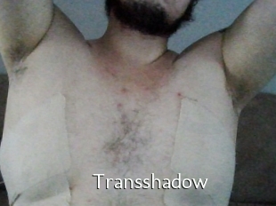 Transshadow