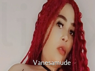 Vanesamude