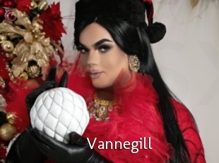 Vannegill