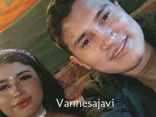 Vannesajavi