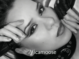 Vicamoose