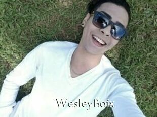 Wesley_Boix