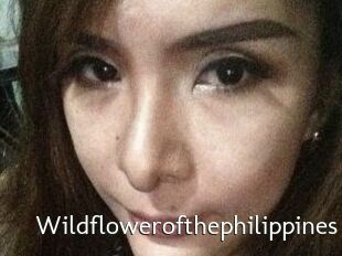 Wildflowerofthephilippines