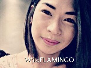 WildFLAMINGO