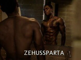 ZEHUS_SPARTA