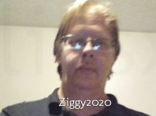 Ziggy2020