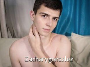 Zacharygonzalez